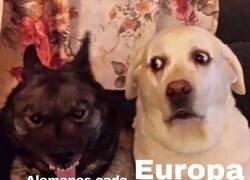 Enlace a Alemania pls