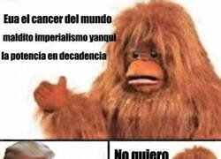 Enlace a Lo critican pero se quedan