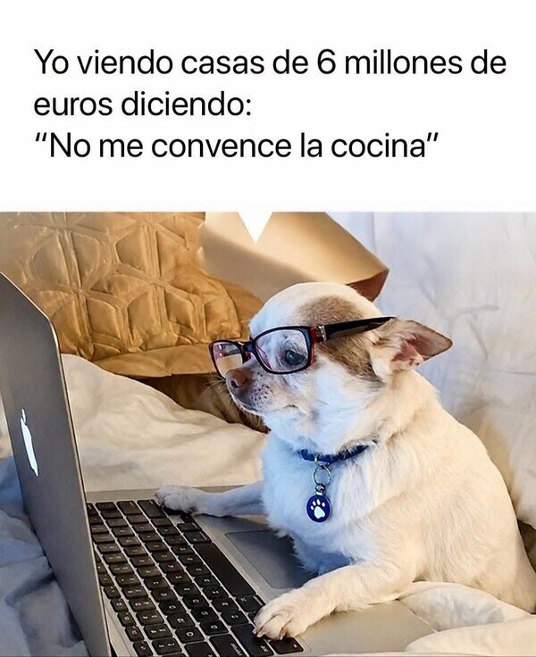 casa,millones,cocina