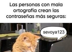 Enlace a La mejor contraseña es la que está mal escrita