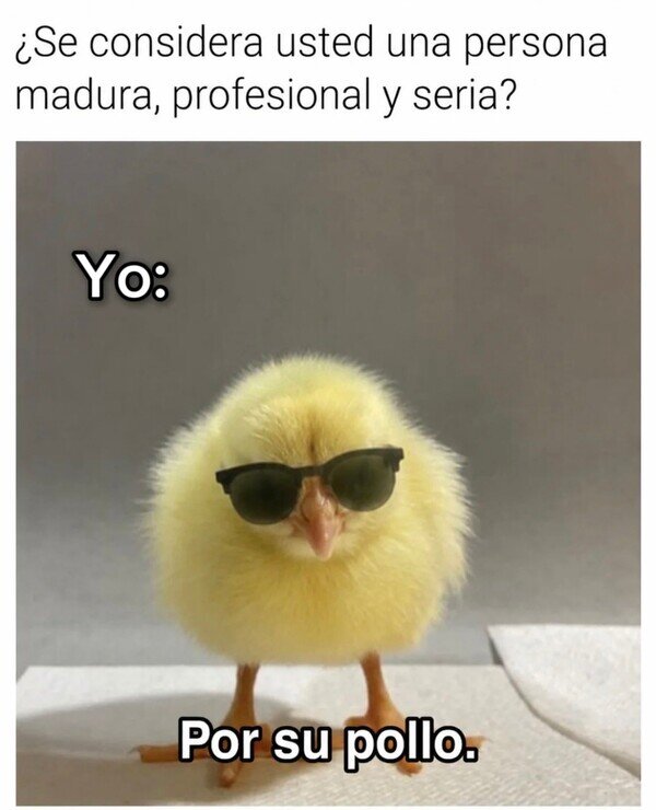 Meme_otros - Por su pollo