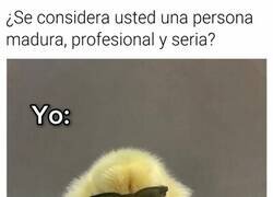 Enlace a Por su pollo