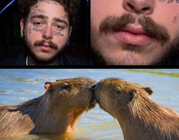 Post Malone,bigote,capibaras