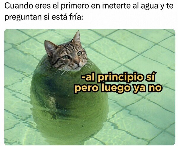 Meme_otros - ¿Cómo está el agua?