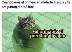 Enlace a ¿Cómo está el agua?