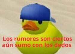 Enlace a Sí, lo reconozco