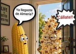 Enlace a Ozú que caló