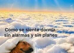 Enlace a Dulces sueños