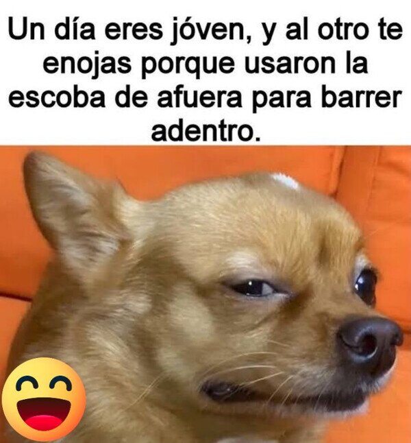 Meme_otros - Si eso te molesta, eres viejo