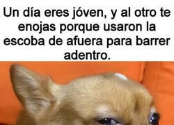 Enlace a Si eso te molesta, eres viejo