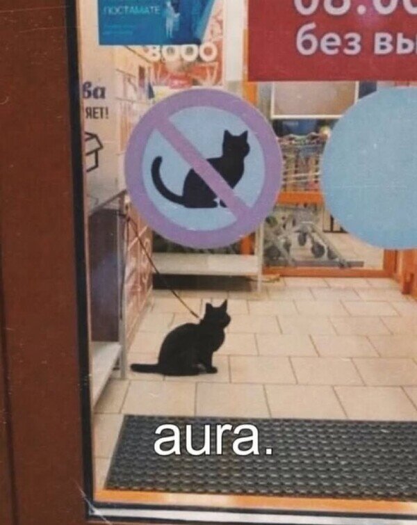 Meme_otros - Nadie le tose