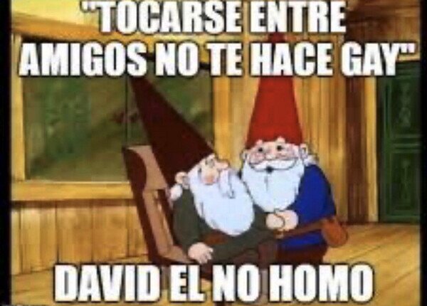 David,Gnomo,no homo