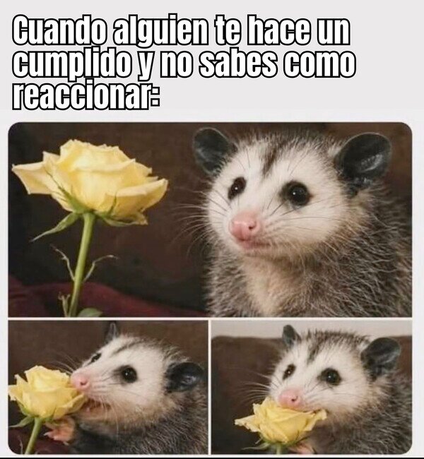 Otros - No estoy acostumbrado a recibirlos