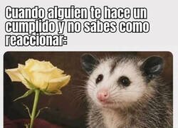 Enlace a No estoy acostumbrado a recibirlos