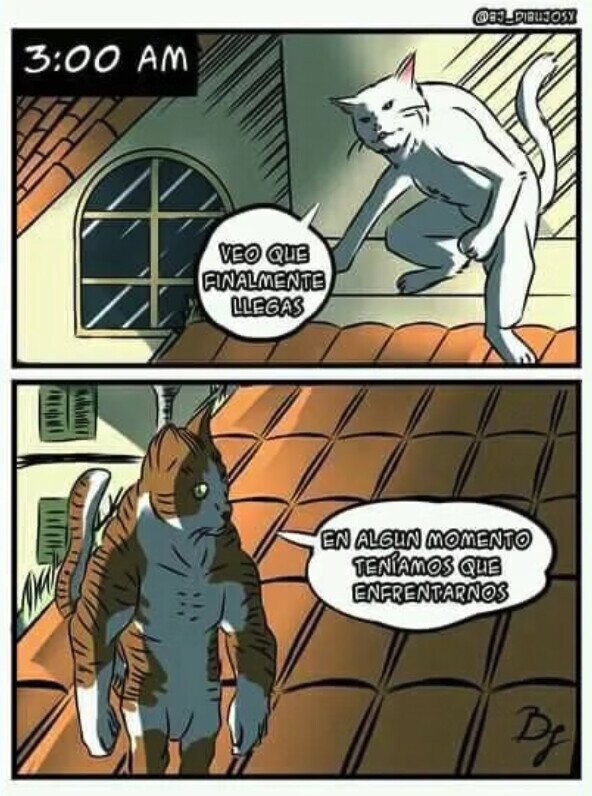 Meme_otros - Se viene batalla épica