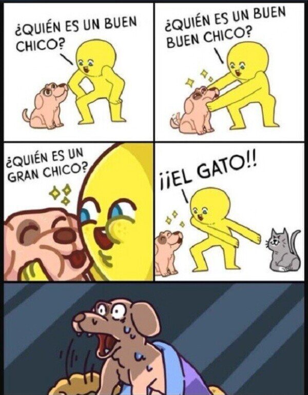 buen chico,perro,gato