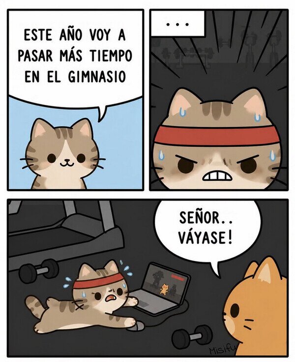 Meme_otros - Pasando tiempo en el gym
