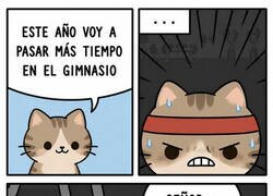 Enlace a Pasando tiempo en el gym
