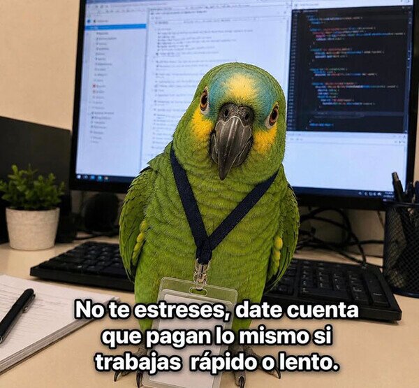 Meme_otros - No te estreses