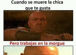 Enlace a No hombre no...