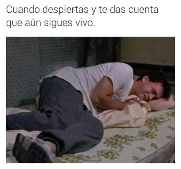 Empezando mal el día despertar,vivo,dormir