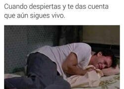 Enlace a Empezando mal el día