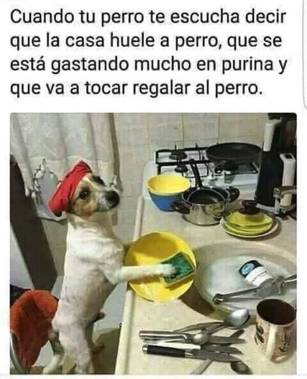 Otros - El Firulais también colabora