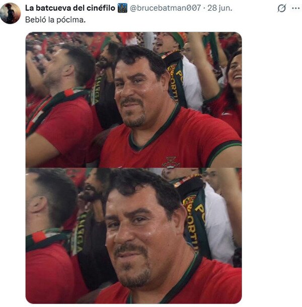Portugal,fan,mundial,Shrek,humano