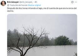 Enlace a Mirando al lago