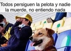 Enlace a El Firulais viendo el Mundial