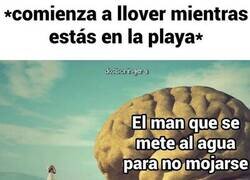 Enlace a Cuando estás en la playa y llueve