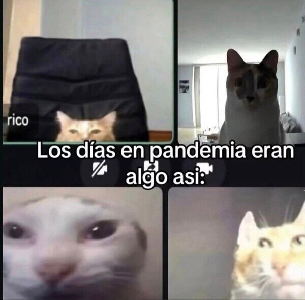 Meme_otros - Fueron tiempos extraños