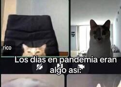 Enlace a Fueron tiempos extraños