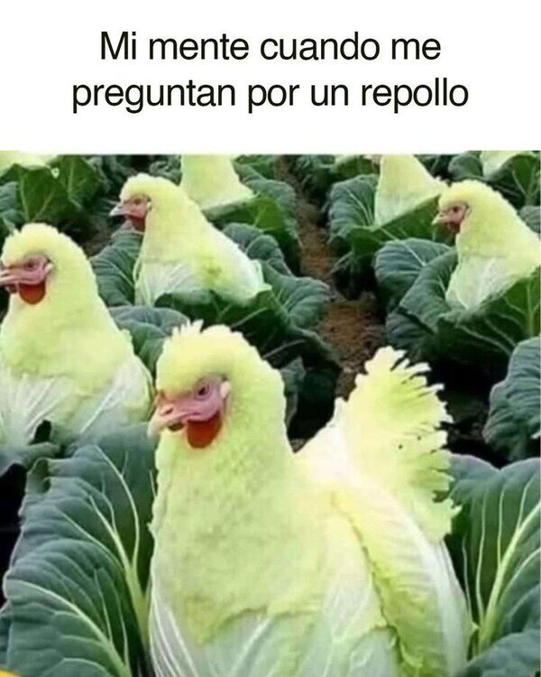 Meme_otros - Así me lo imagino yo