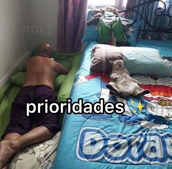 gato,cama,dormir,prioridades