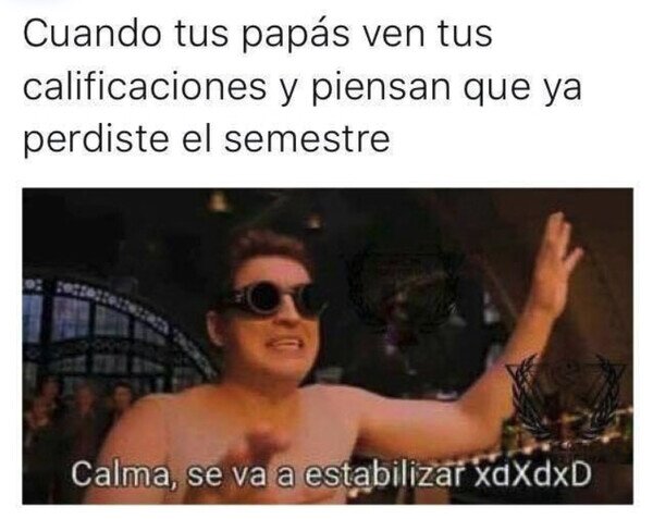 notas,padres,estabilizar,semestre