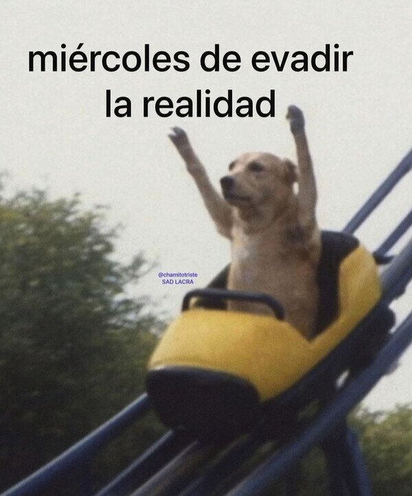 Meme_otros - Mi mood de hoy