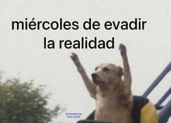Enlace a Mi mood de hoy