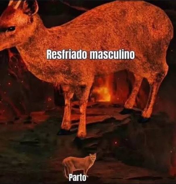 Meme_otros - No hay nada más doloroso
