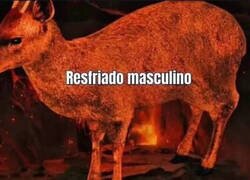 Enlace a No hay nada más doloroso