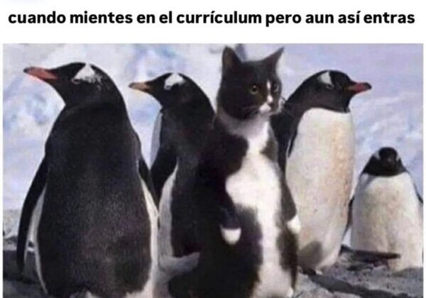 Otros - Nadie se ha dado cuenta