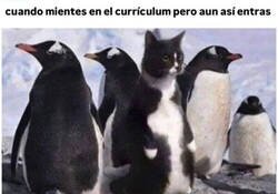 Enlace a Nadie se ha dado cuenta