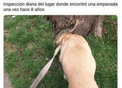 Enlace a Inspección rutinaria