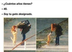 Enlace a Gato asignado