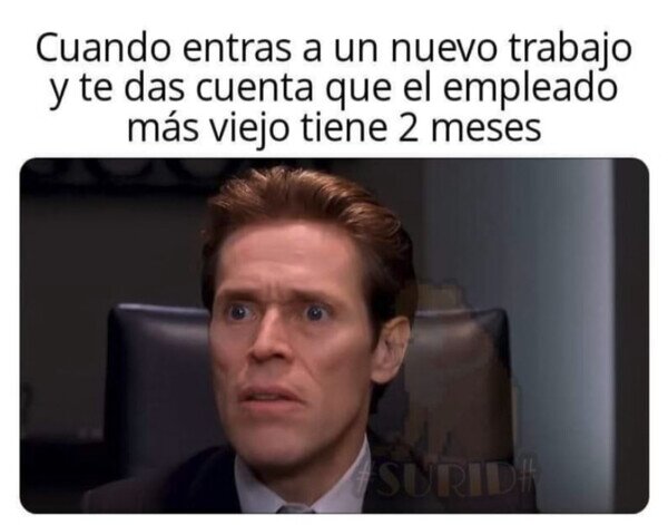 Otros - No duraré mucho aquí