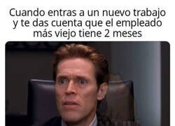 Enlace a No duraré mucho aquí