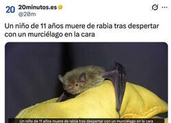 Enlace a Tiene que ser molesto pero, ¿es para tanto?