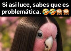 Enlace a Tiene cara de enfadarse si sales con tus amigos