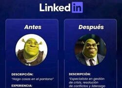 Enlace a Si Shrek tuviera LinkedIn