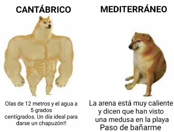 Meme_otros - ¿Tú qué mar prefieres?